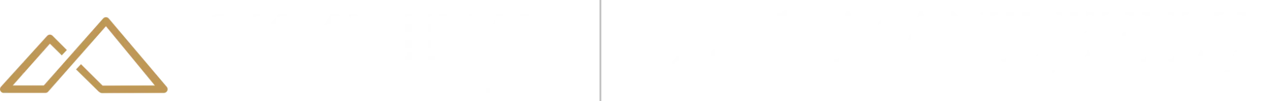 skyview private wealth mandeville private client inc.png